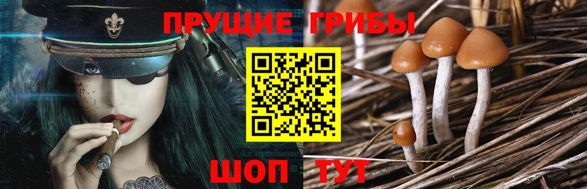 ГАШИШ  Гашиш  Мефедрон  Чебоксары  Конопля  COCAIN  Меф МЯУ МЯУ   Где купить  Вход с VPN 