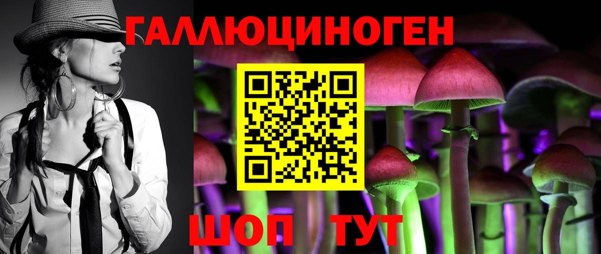 Псилоцибиновые грибы ЛСД Чебоксары
